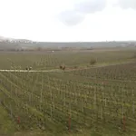 Weinhotel Kienle *