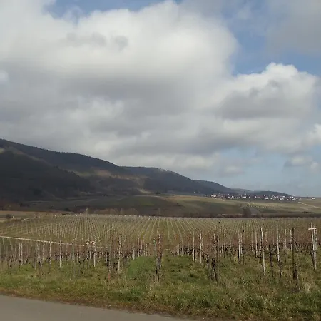 Weinhotel Kienle *