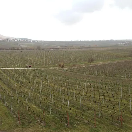 Weinhotel Kienle *