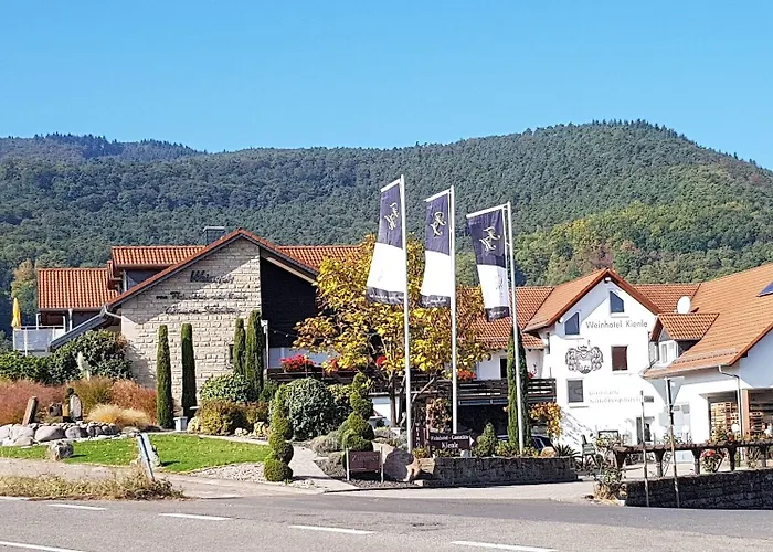Hotel Weinhotel Kienle *