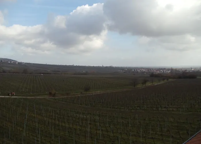 Hotel Weinhotel Kienle Burrweiler